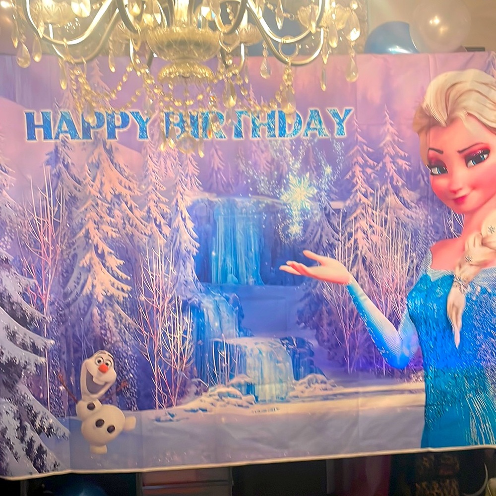 Frozen backdrop 7x5 beautiful picture